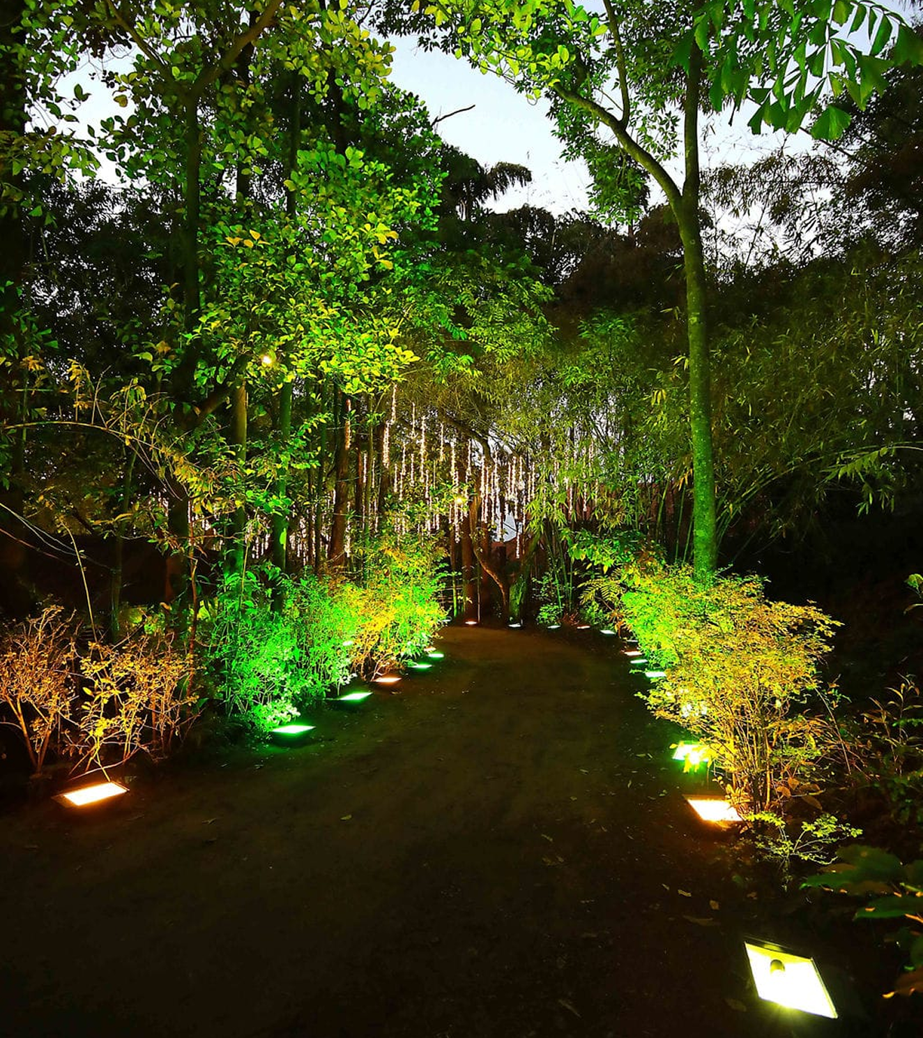 Forest path